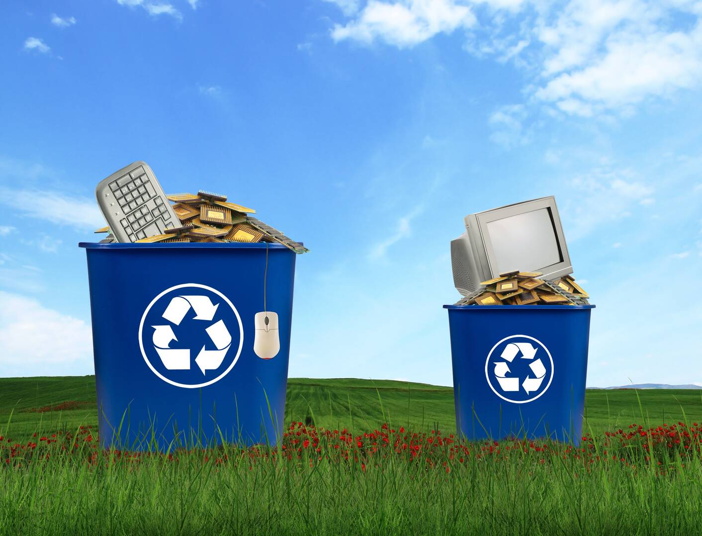 All Clear Clean Out & Junk Removal Services logo